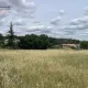 Terrain à Clermont-l’Hérault, à proximité immédiate du Lac du Salagou