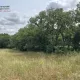 Terrain à Clermont-l’Hérault, à proximité immédiate du Lac du Salagou