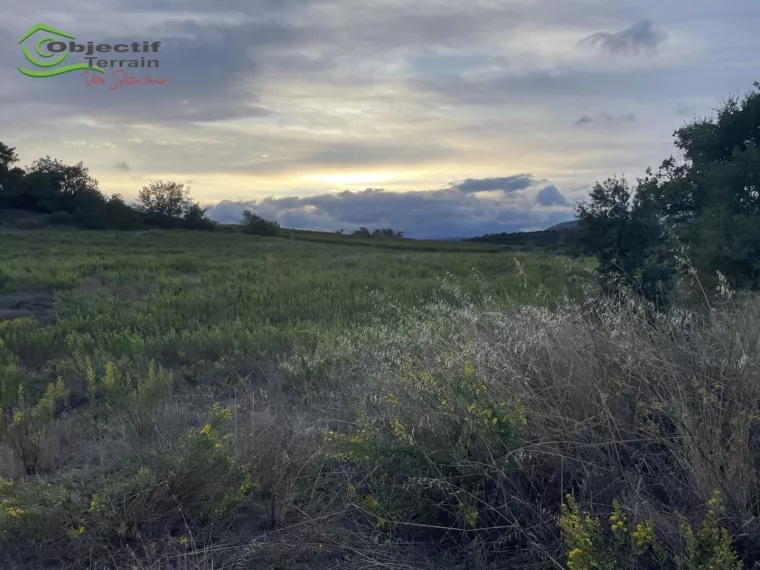 Terrain de loisir à Laurens : la nature dans toute sa splendeur