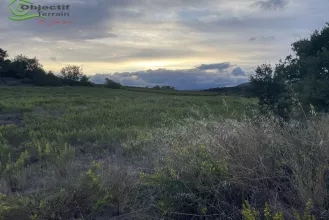 Terrain de loisir à Laurens : la nature dans toute sa splendeur