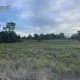Terrain de loisir à Laurens : la nature dans toute sa splendeur