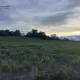 Terrain de loisir à Laurens : la nature dans toute sa splendeur