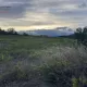Terrain de loisir à Laurens : la nature dans toute sa splendeur