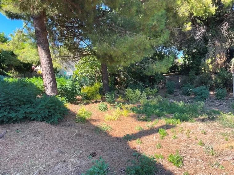 ENTRE VILLE BEZIERS - 665M2 - PLAT - HORS LOTISSEMENT 