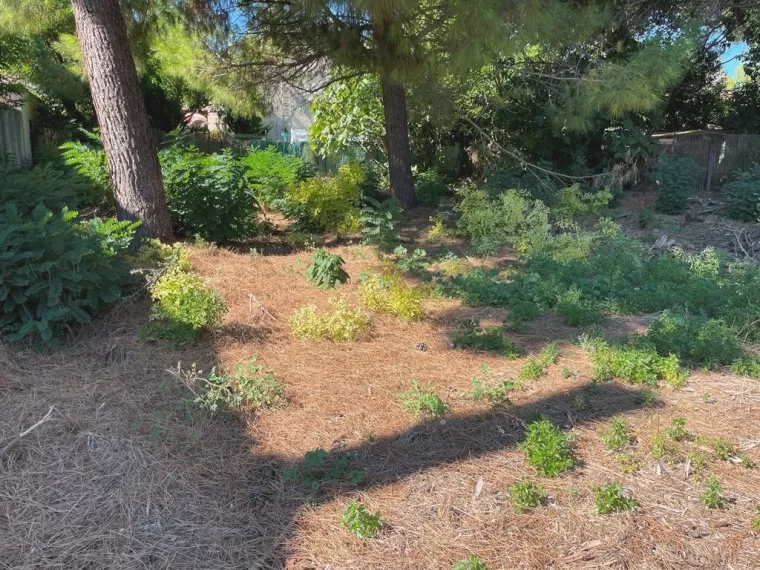 ENTRE VILLE BEZIERS - 665M2 - PLAT - HORS LOTISSEMENT 