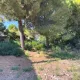 ENTRE VILLE BEZIERS - 665M2 - PLAT - HORS LOTISSEMENT 