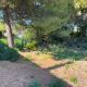 ENTRE VILLE BEZIERS - 665M2 - PLAT - HORS LOTISSEMENT 