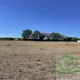 BAISSE DE PRIX EXCEPTIONELLE !! TERRAIN ESPONDEILHAN 564M2