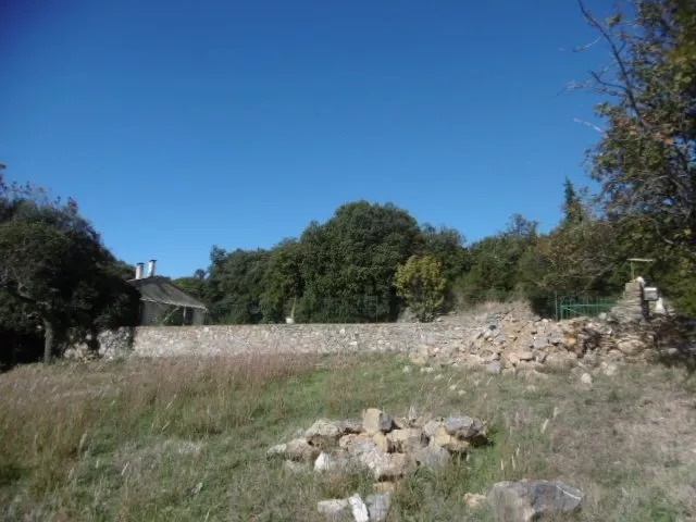 1425M2 - UN CADRE PARADISIAQUE ET UNE VUE IMPRENABLE JUSQU’A LA MER!!!