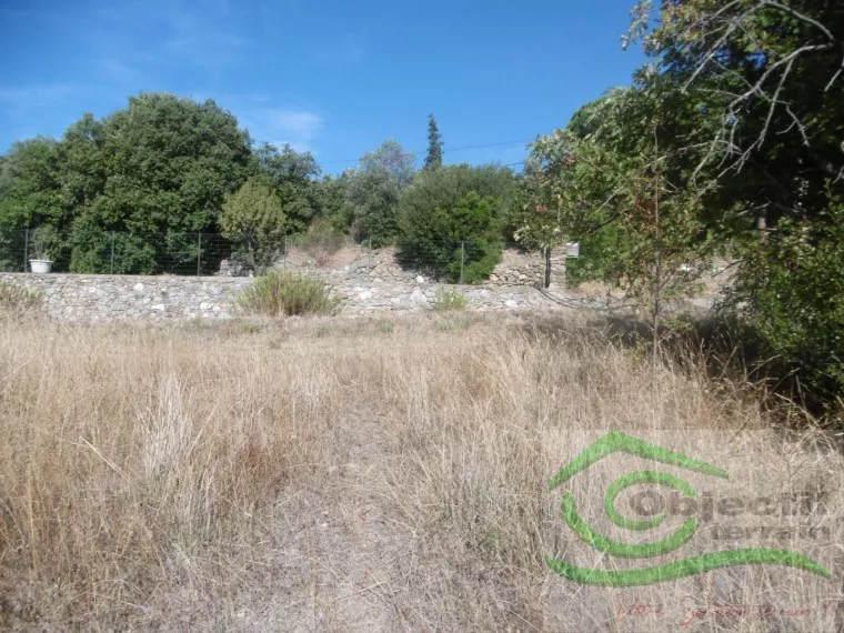 1425M2 - UN CADRE PARADISIAQUE ET UNE VUE IMPRENABLE JUSQU’A LA MER!!!